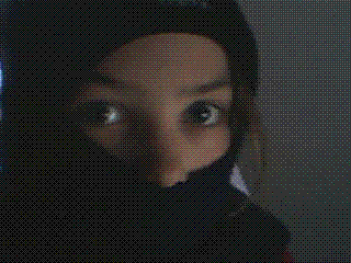 le ninja invisible